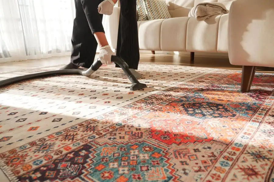 Area Rug Cleaning Services