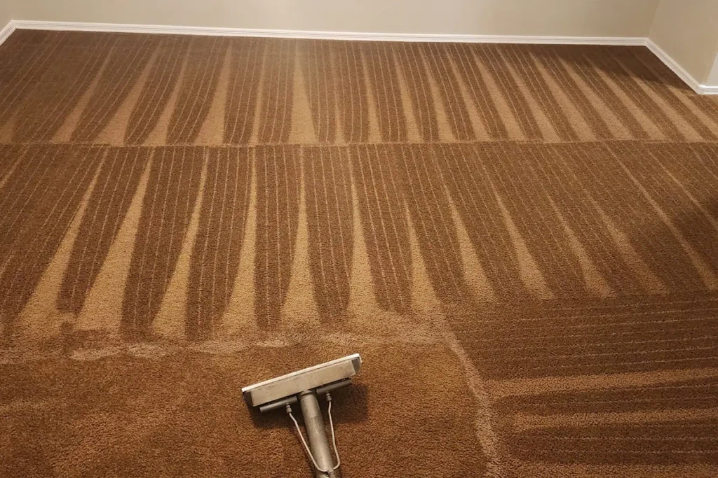 Carefree Carpet Cleaning Services